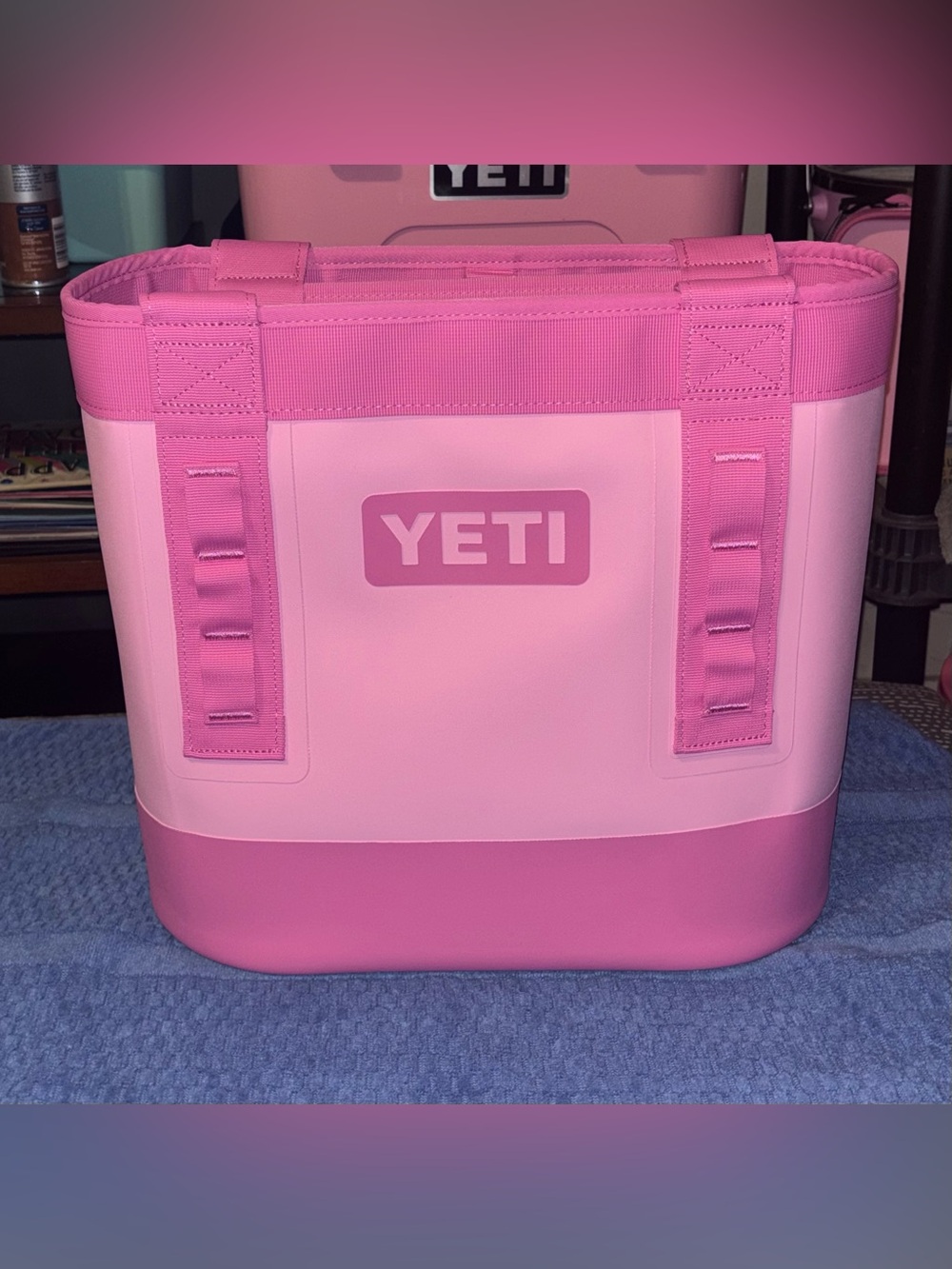 Yeti Power Pink Camino 20